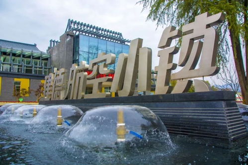 福利來襲！建德航空小鎮獲評國家4A級景區，免費溫泉等您來暢享